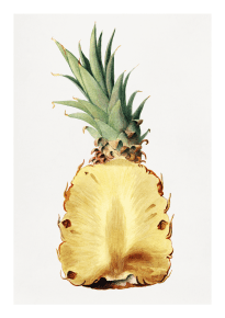 Fruktposter - Ananas