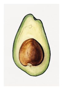 Poster avocado