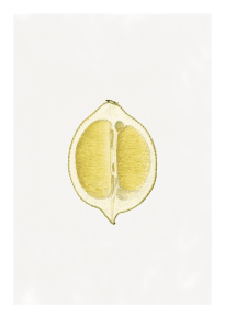 Fruktposter citron