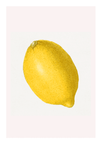 Citronposter