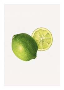 Fruktposter - Lime