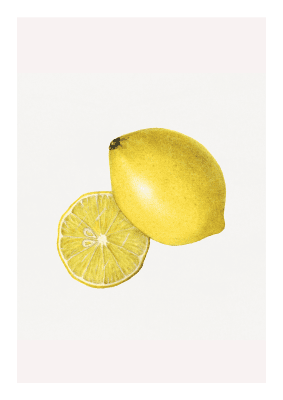 Fruktposter citron